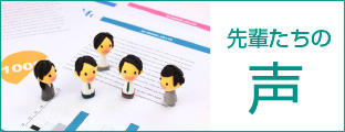 先輩たちの声